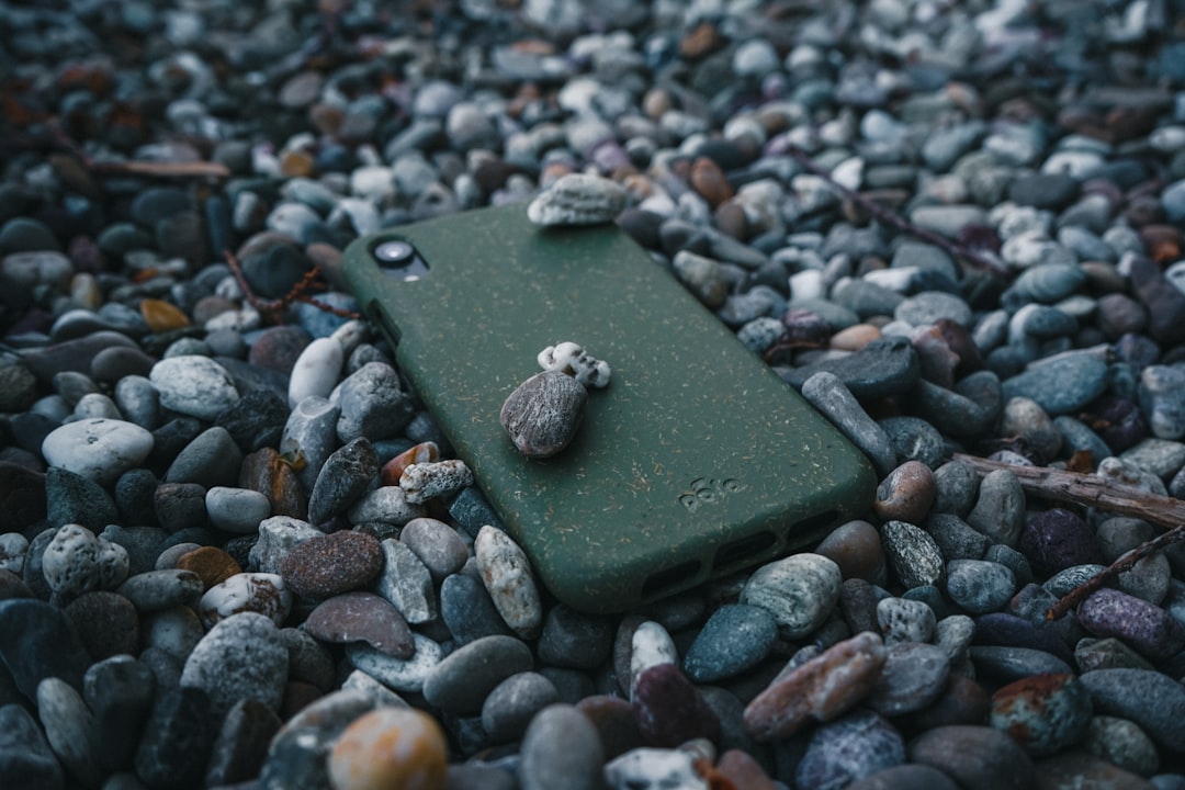 'Case'