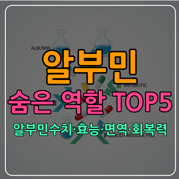 알부민 효과