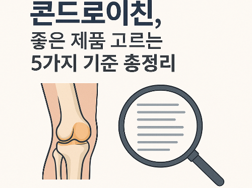 관절 건강을 위한 콘드로이친, 좋은 제품 고르는 5가지 기준 총정리