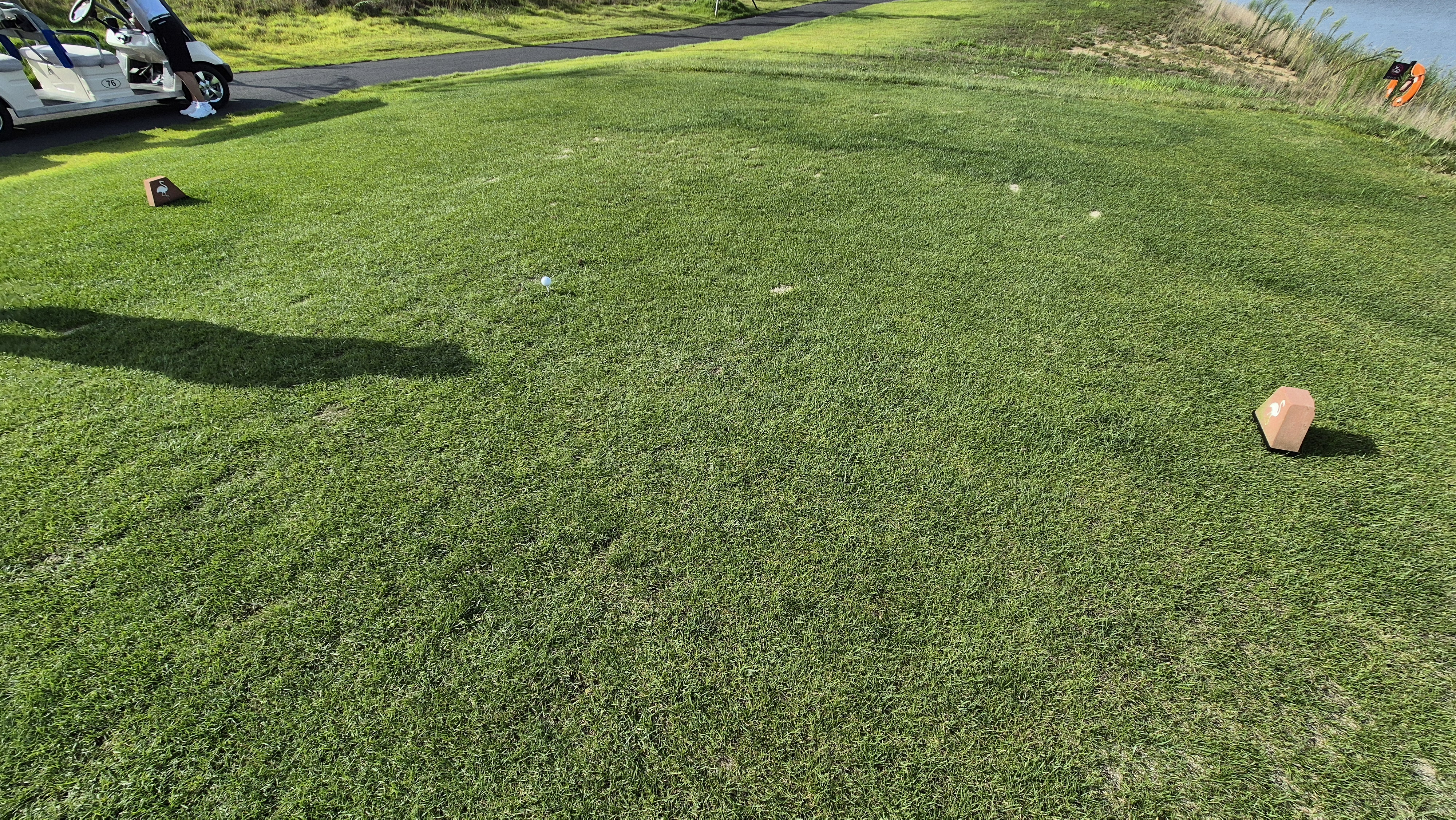 플라밍고cc 듄스-링크스 코스 라운드 후기