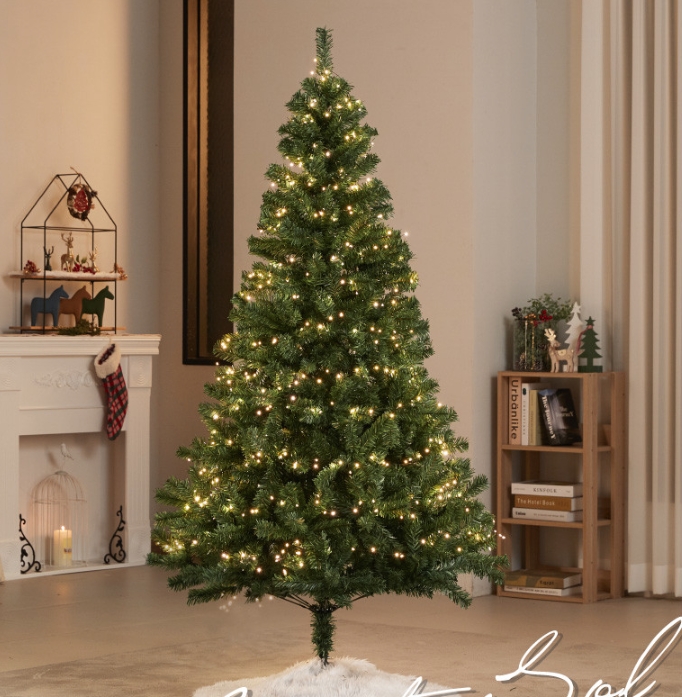 크리스마스 트리