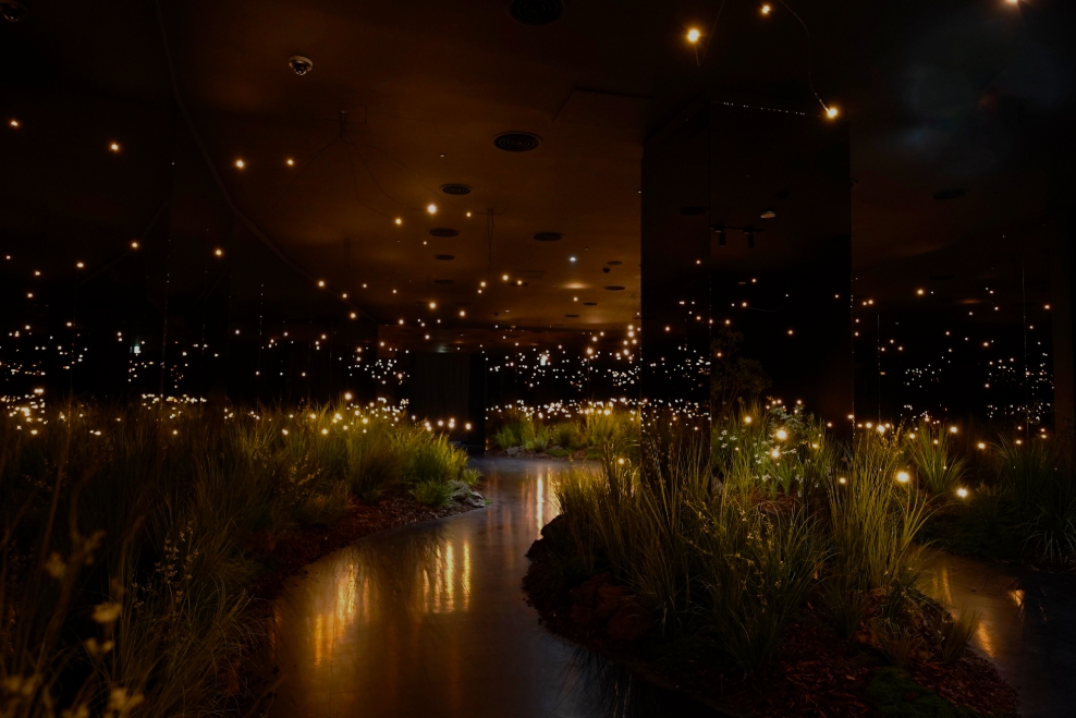 당일치기/국내/나들이/서울/청와대/사랑채