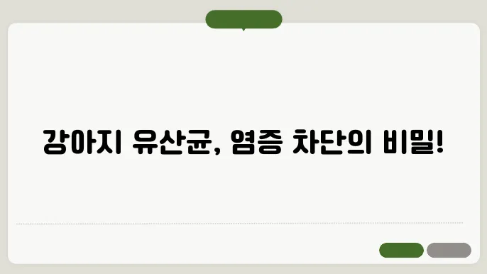 강아지 유산균이 염증을 없애는 이유는?