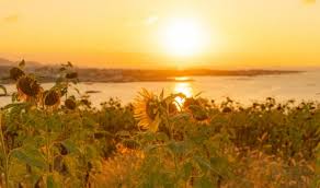 8월 제주도 가볼만한곳10곳