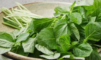 깻잎순볶음