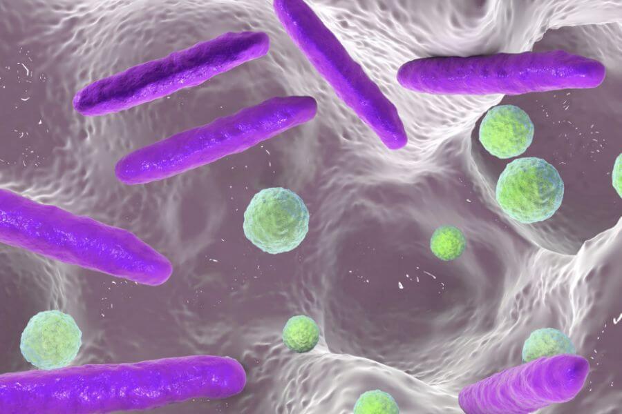 장마철마다 집이 찝찝해졌던 이유, 세균막(바이오필름)이라는 시선으로 다시 보다