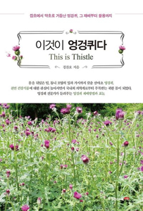 엉겅퀴 효능