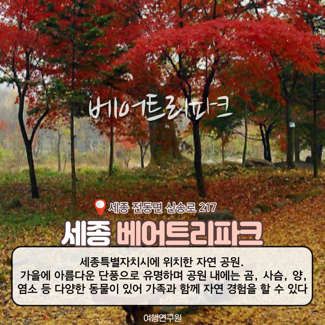 베어트리파크