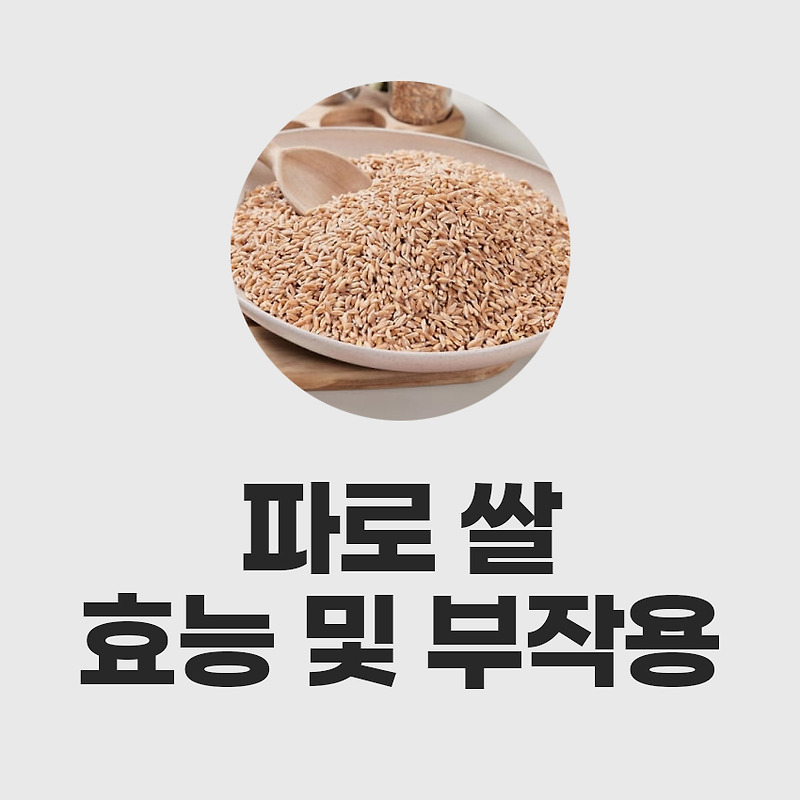 파로쌀 효능 01