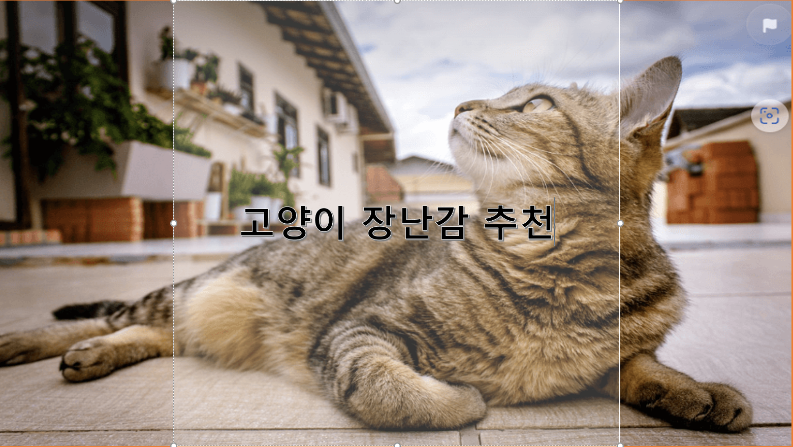 고양이 장난감 추천