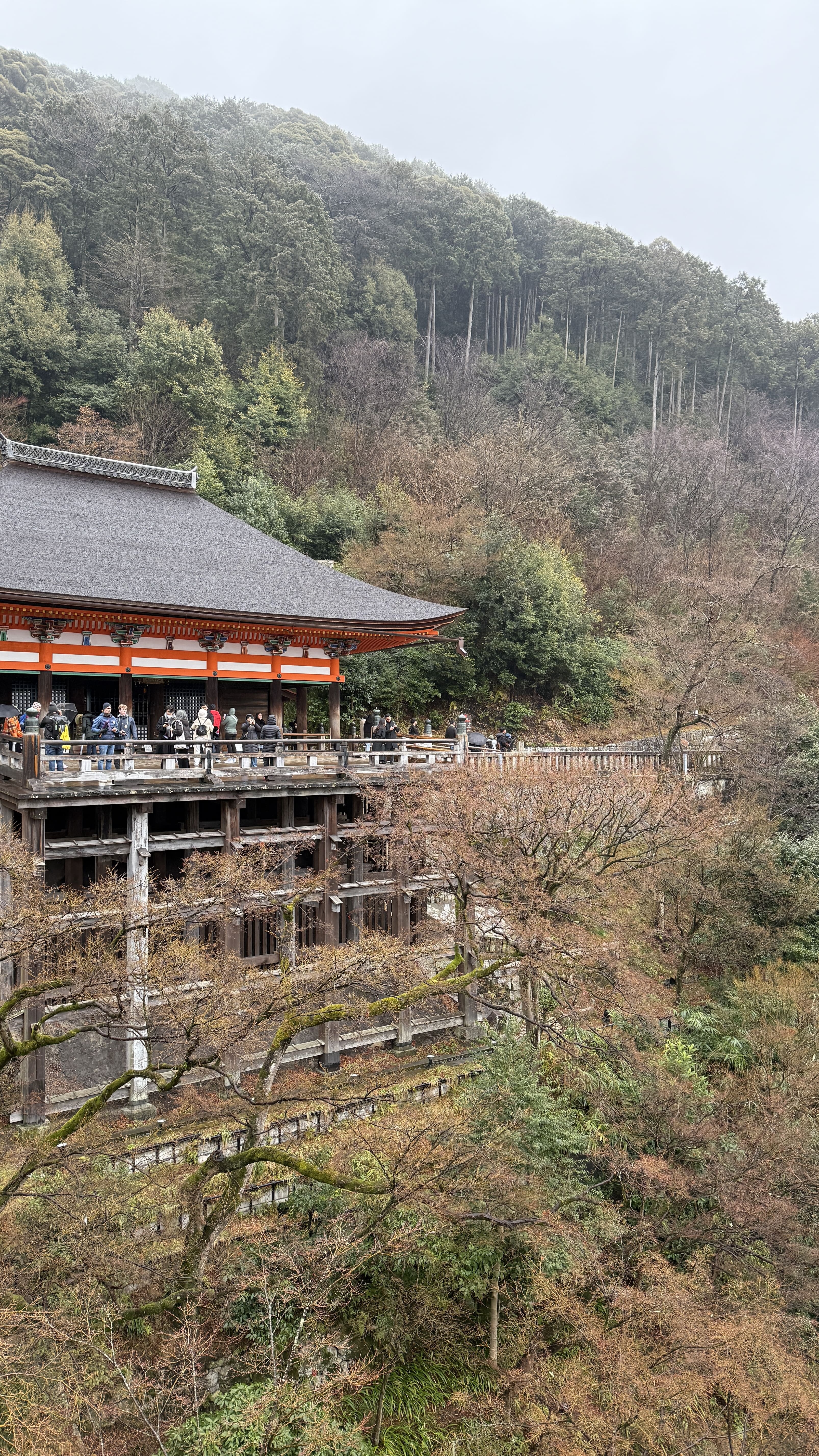 교토여행-기요미즈데라-가이세키-점심-파크-하얏트-교토
