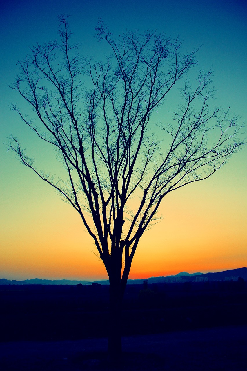 해질녘 눈 깜빡이면 놓치는 신비한 빛