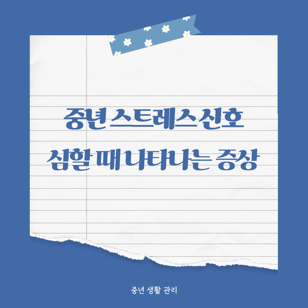 중년 스트레스가 심할 때 나타나는 대표 증상