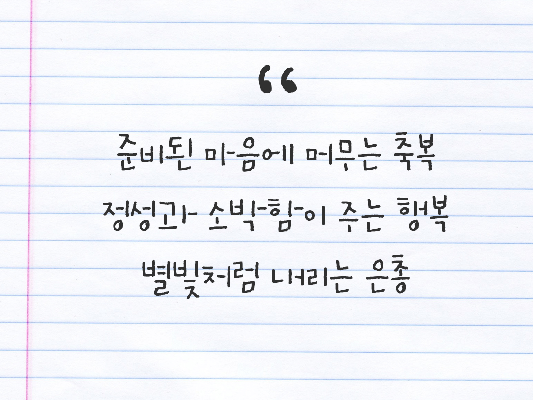 25년 12월 24일 오늘 내 마음 기록하기 감사노트, 감사를 통해 발견한 행복, 오늘 감사한 순간들 by 피어나네 감사일기