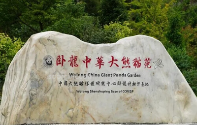 푸바오 중국 실시간 영상, 최근 소식