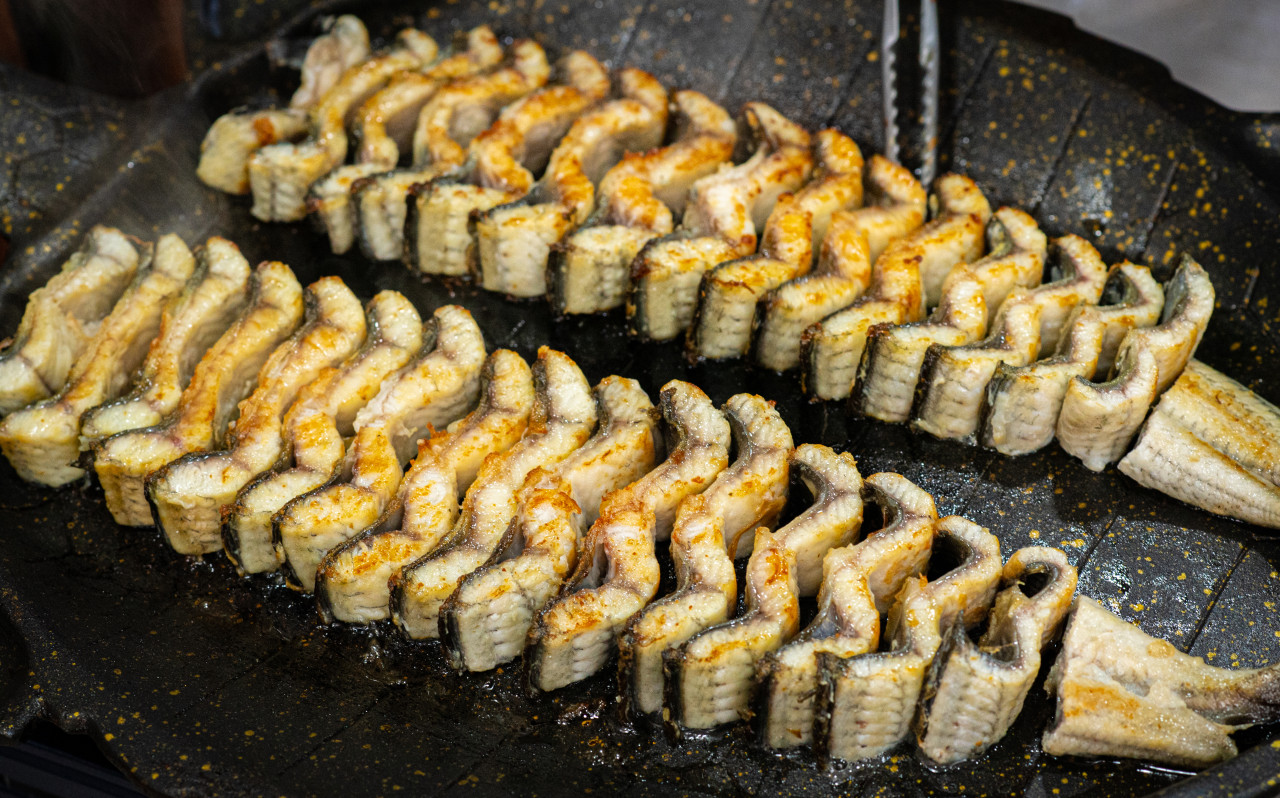 화천 산천어축제 맛집