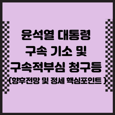 윤석열대통령구속후향후전망