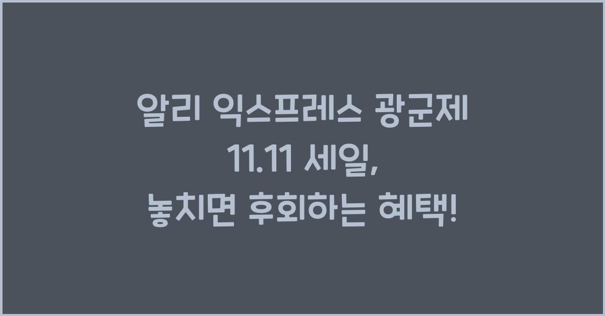 알리 익스프레스 광군제 11.11 세일