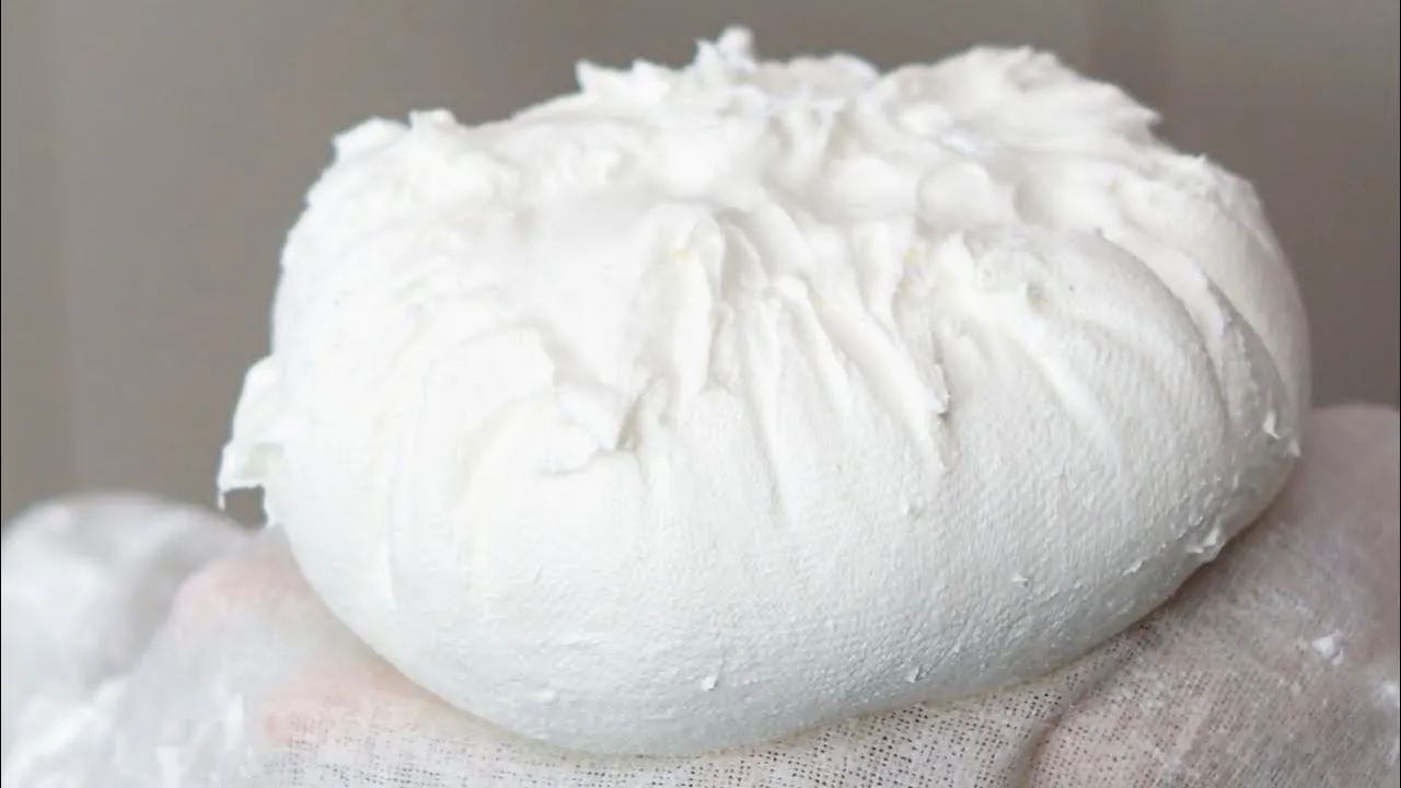 그릭요거트 효능 소화 면역력 건강 식품 정보_5