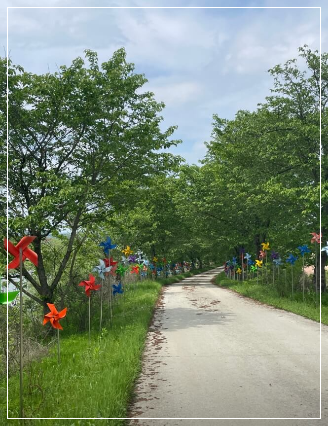 익산 가볼만한곳 베스트10 성당포구 금강체험관&middot;바람개비길