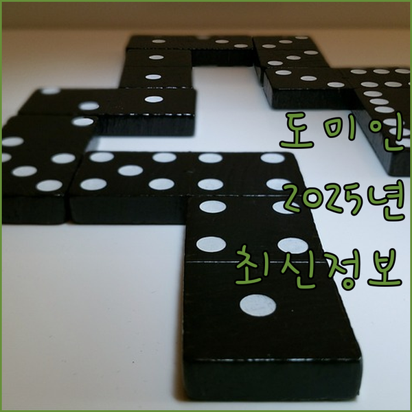 다카사키 여행객 필독 도미인 타카사키..