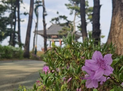 울진 왕피천 케이블카 요금 예약