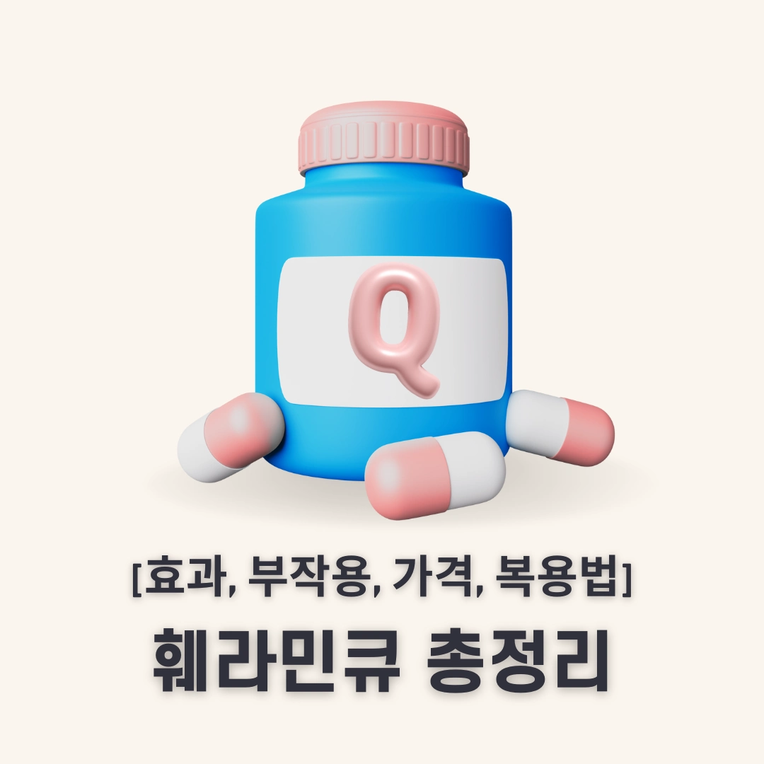 훼라민큐 총정리