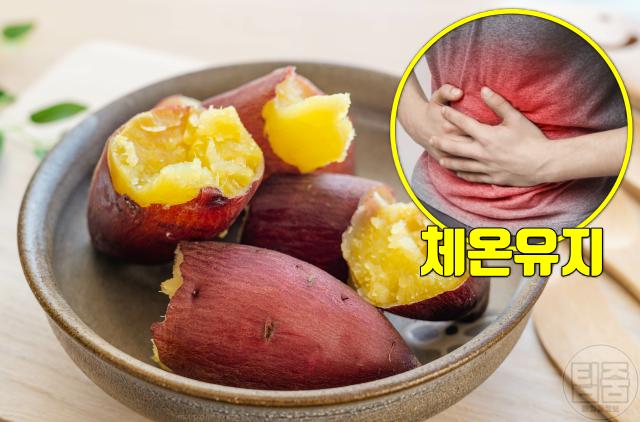 손발 차가움 수족냉증에 좋은 음식 고구마