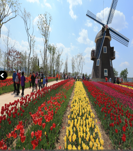 순천만 국가정원과 순천만 갈대밭에서 즐기는 가을 여행