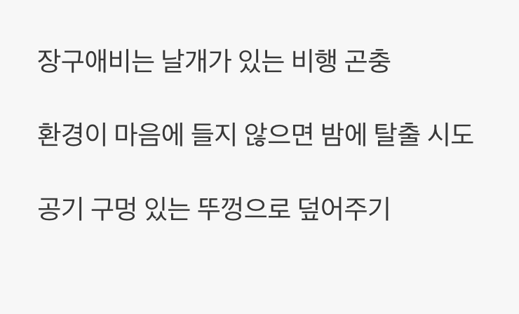 의외의 비행 실력&amp;#44; 뚜껑은 필수