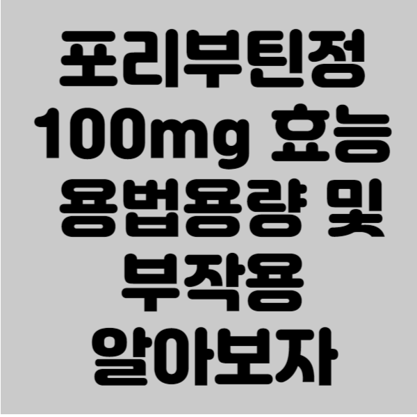 포리부틴정 100mg 효능 용법용량 및 부작용