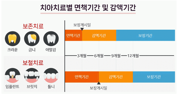 치아보험