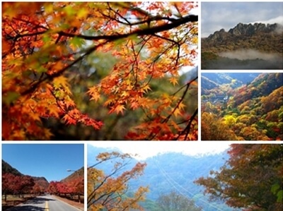 내장산 단풍여행 코스, 주차, 케이블카, 숙박예약