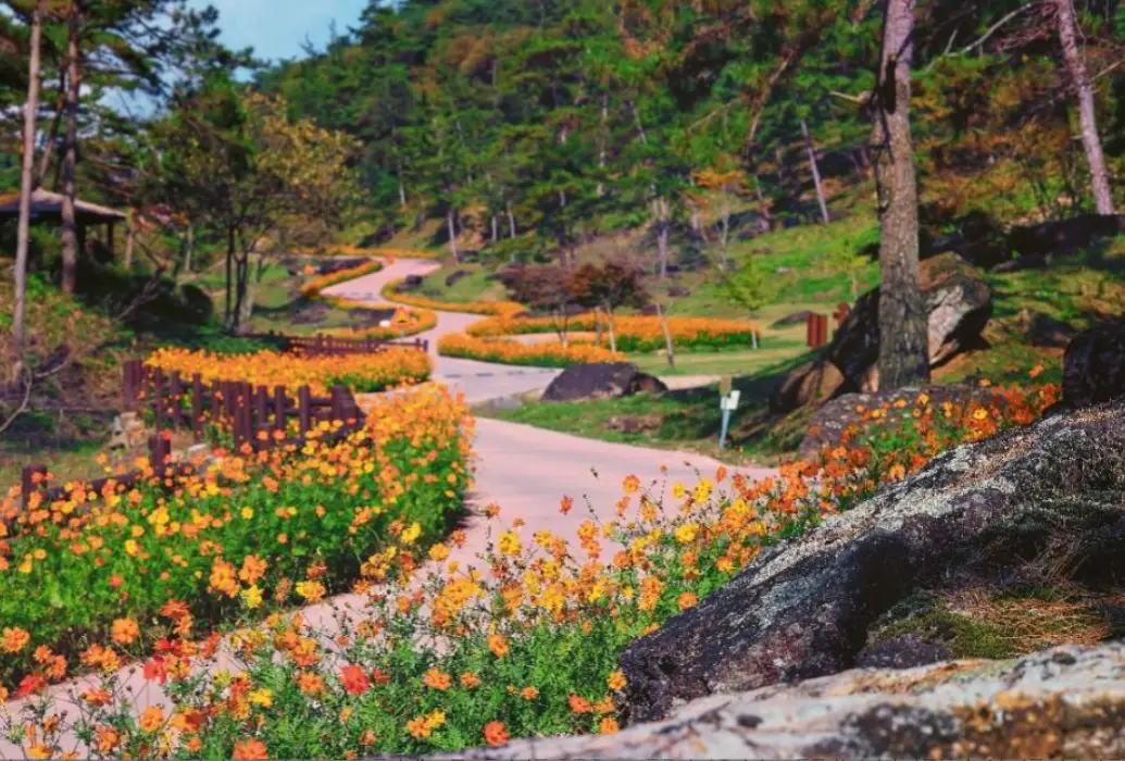 화순 고인돌 가을꽃 축제 일정 프로그램 입장료 주변 맛집 숙소 교통 