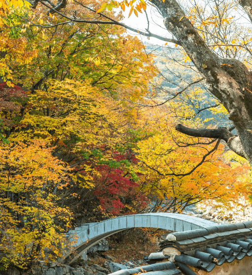 양산 통도사