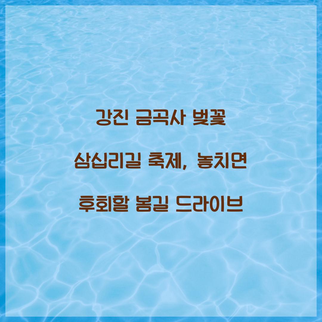 강진 금곡사 벚꽃 삼십리길 축제