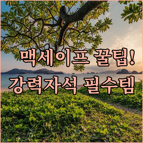 갤럭시 아이폰 맥세이프 카드지갑 플레..