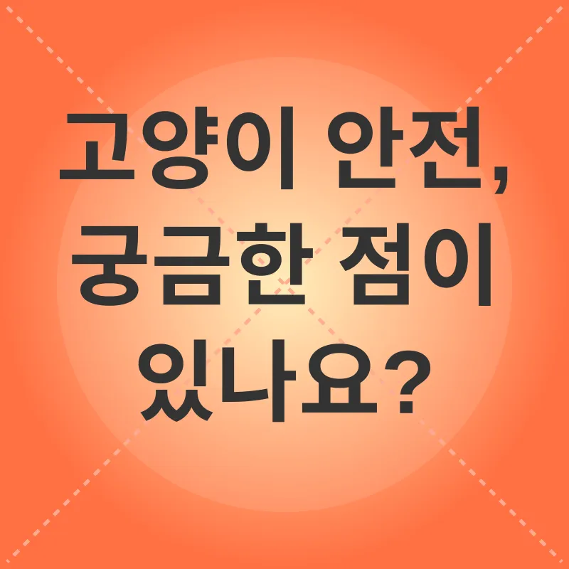 고양이 안전_4