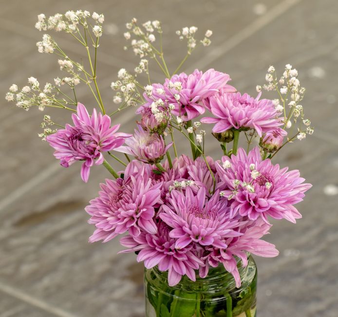 Bouquet of pink chrysanthemums with baby's breath flowers in a glass vase on rustic background.