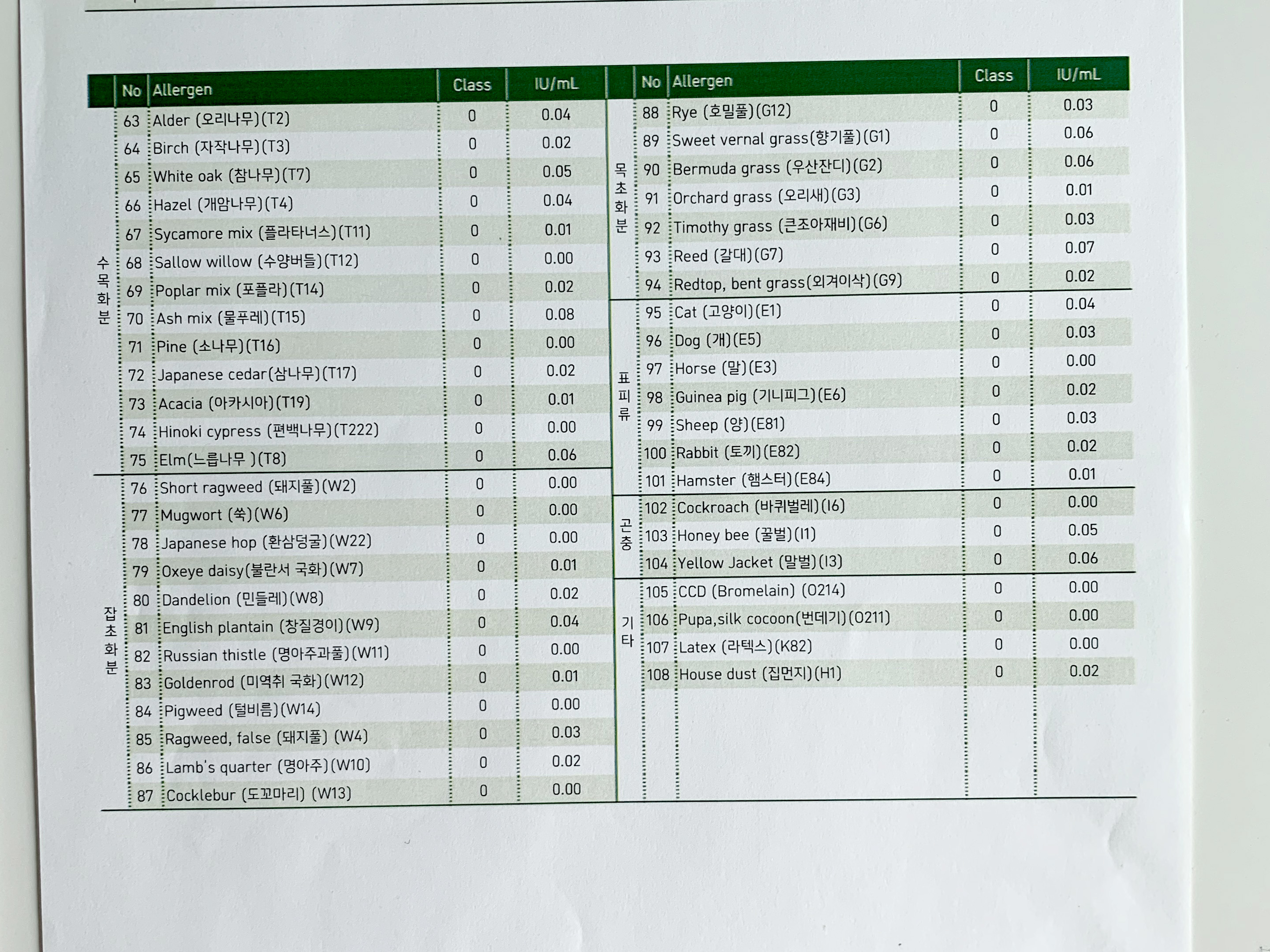 알레르기 검사, MAST 검사