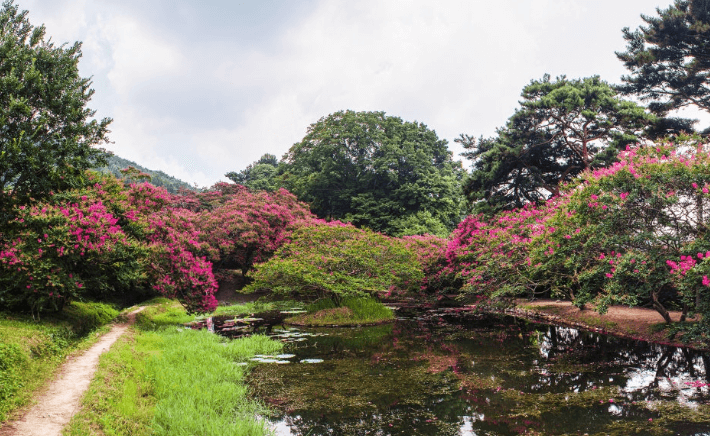명옥헌 원림