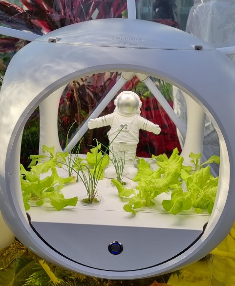 세종 국립 수목원