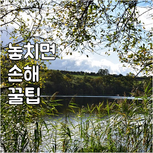 성동구 대형폐기물 처리 온라인 신고로..