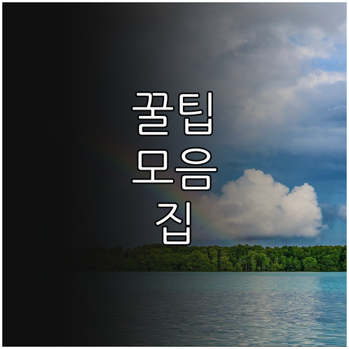 월계체육센터 2025 이용료 감면 최..