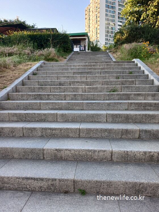 Straight urban stairway leading to a trail entrance – ideal for stair climbing effect-도시형 직선 계단 – 계단오르기 운동효과를 실천하기 좋은 일상 공간