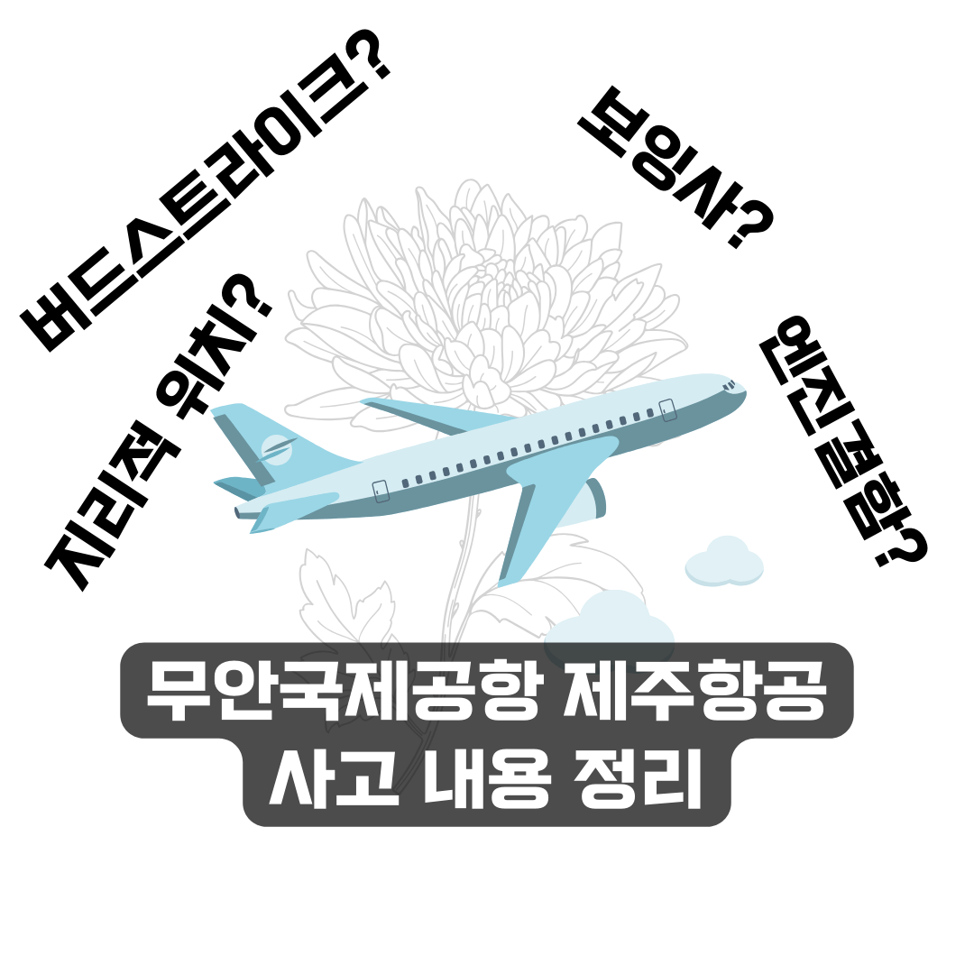 무안국제공항 제주항공 사고 내용 정리