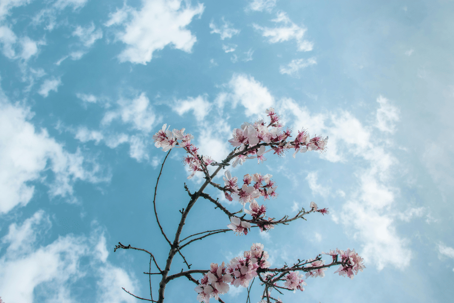 계절별 하늘 여행