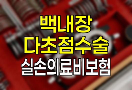 백내장 다초점 수술, 실손의료비보험 적용 가능한가?