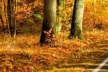  소상공인 50만원 크레딧 지원금! 신청방법 총정리