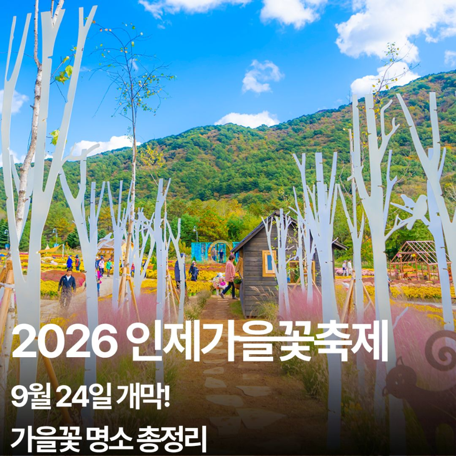 2026 인제가을꽃축제 일정
